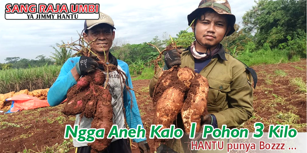 testi 2