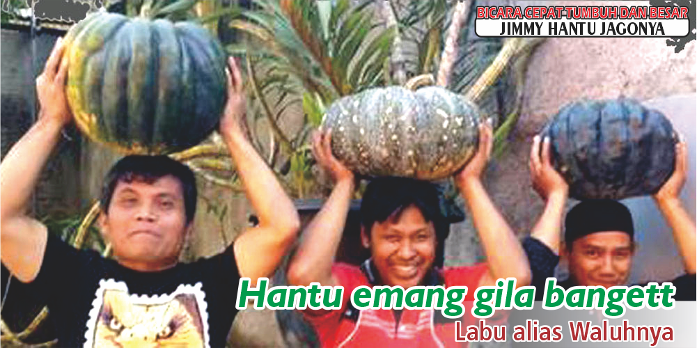 testi 4
