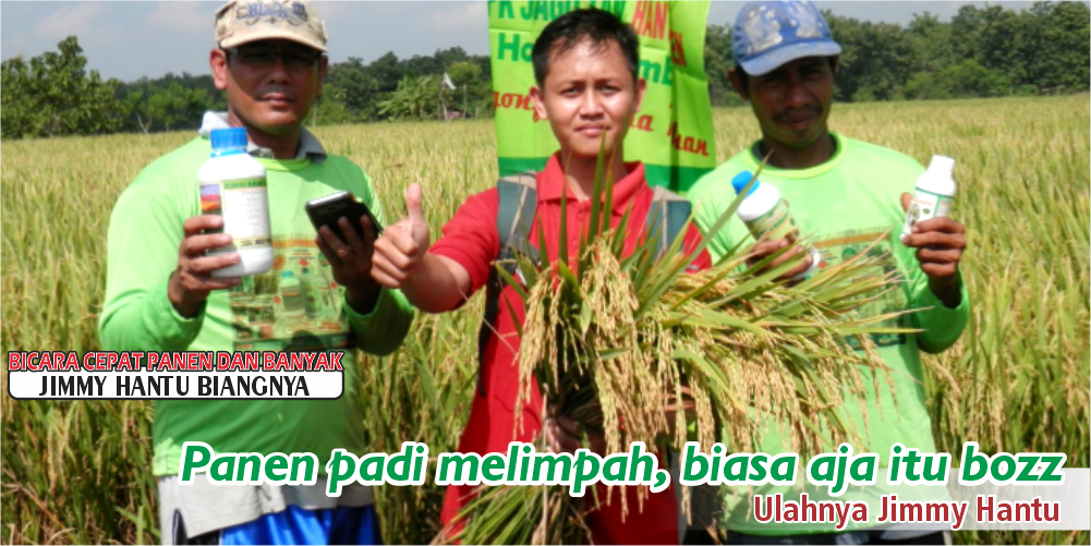 testi 5