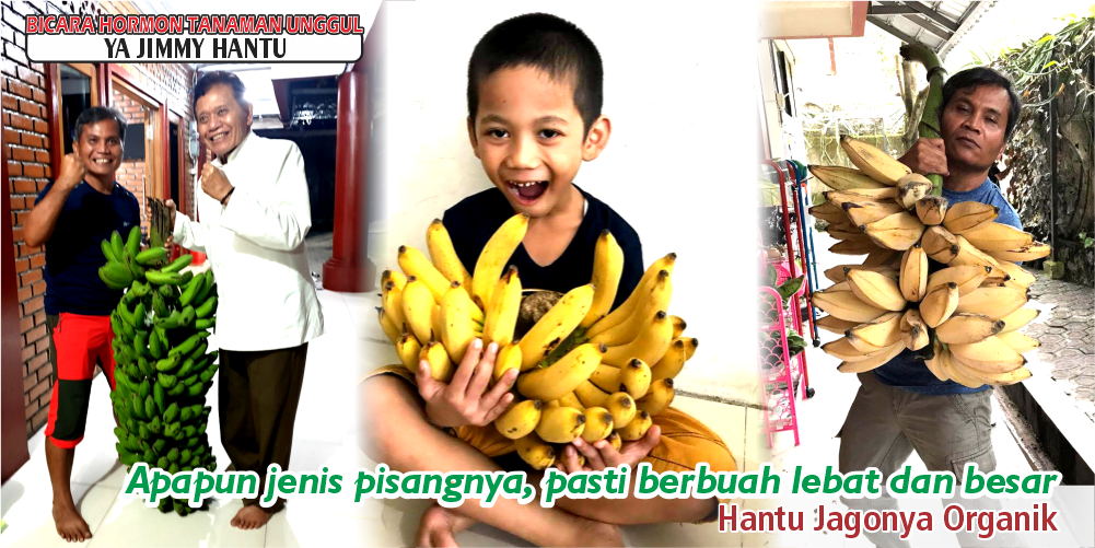 testi 9